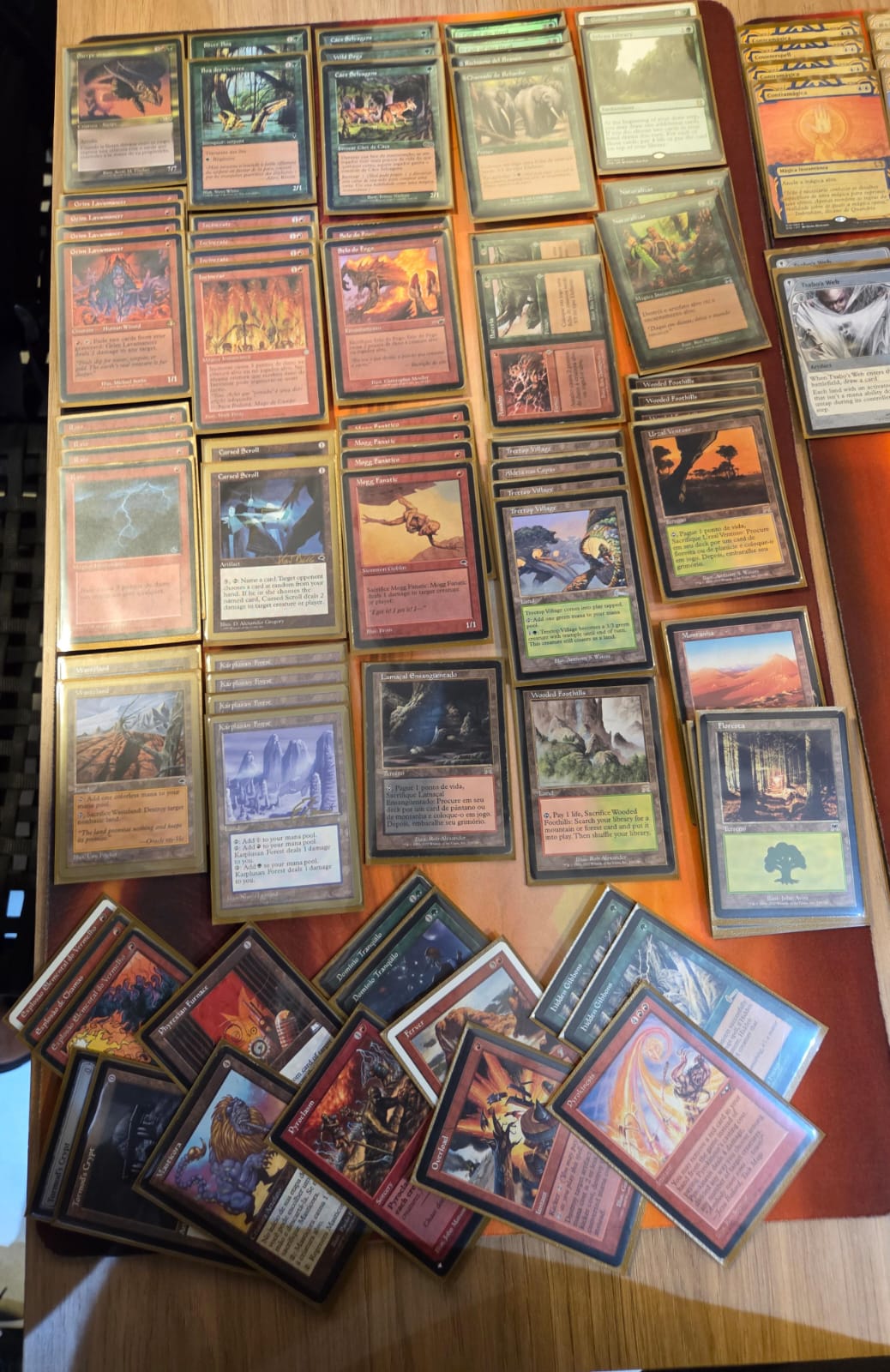 RG Zoo - Edson Freitas